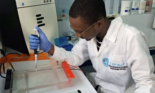 eminence_ism_projects